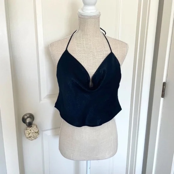 Wild Fable | Black Satin Cowl Neck Halter Crop Top – Size M - Picture 1 of 11